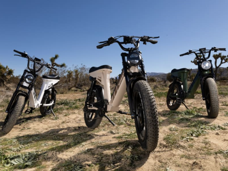 2020 trek checkpoint alr 5