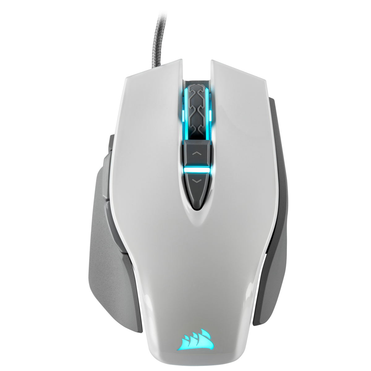 får generation tro Review: Corsair M65 RGB Elite tunable gaming mouse — Elite features at a  competitive price - NotebookCheck.net News