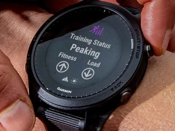 Garmin Forerunner 265 smartwatch could launch soon following FCC filings -   News