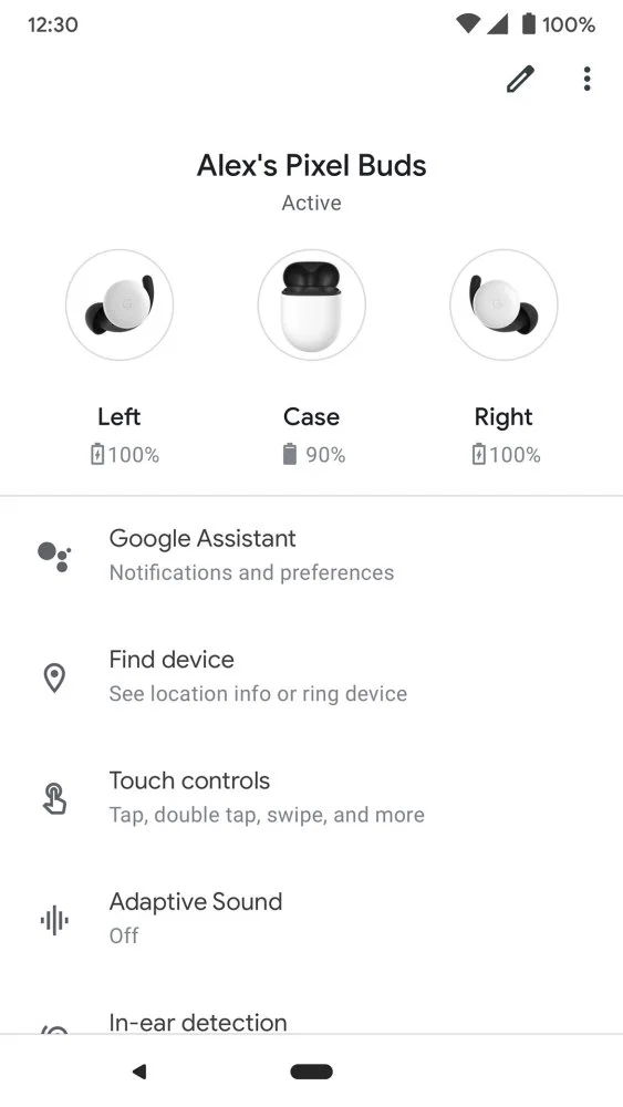Wild Pixel Buds 2 appear on Google s US Store News google buds