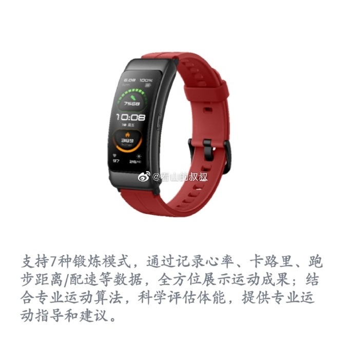 Huawei talkband B6+nikita.wp.rschooltoday.com