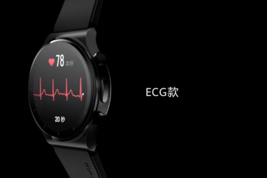 Injusto canal limpiar Huawei Watch GT 2 Pro: An ECG version of the stylish smartwatch is coming -  NotebookCheck.net News