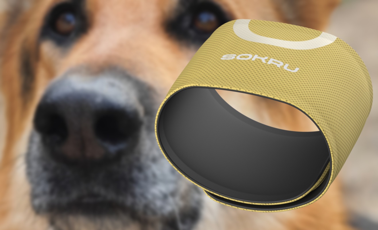 Sokru: Completely non-invasive glucose sensor inspired by hypo-alert dogs prepares for first clinical evaluation with type 1 diabetes patients