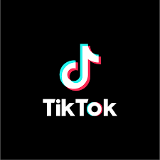 TikTok is now banned in India