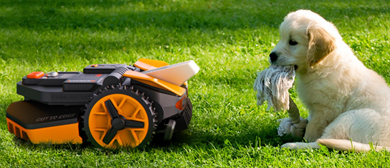 The Worx Landroid Vision robot lawn mower has obstacle avoidance technology. (Image source: Worx)