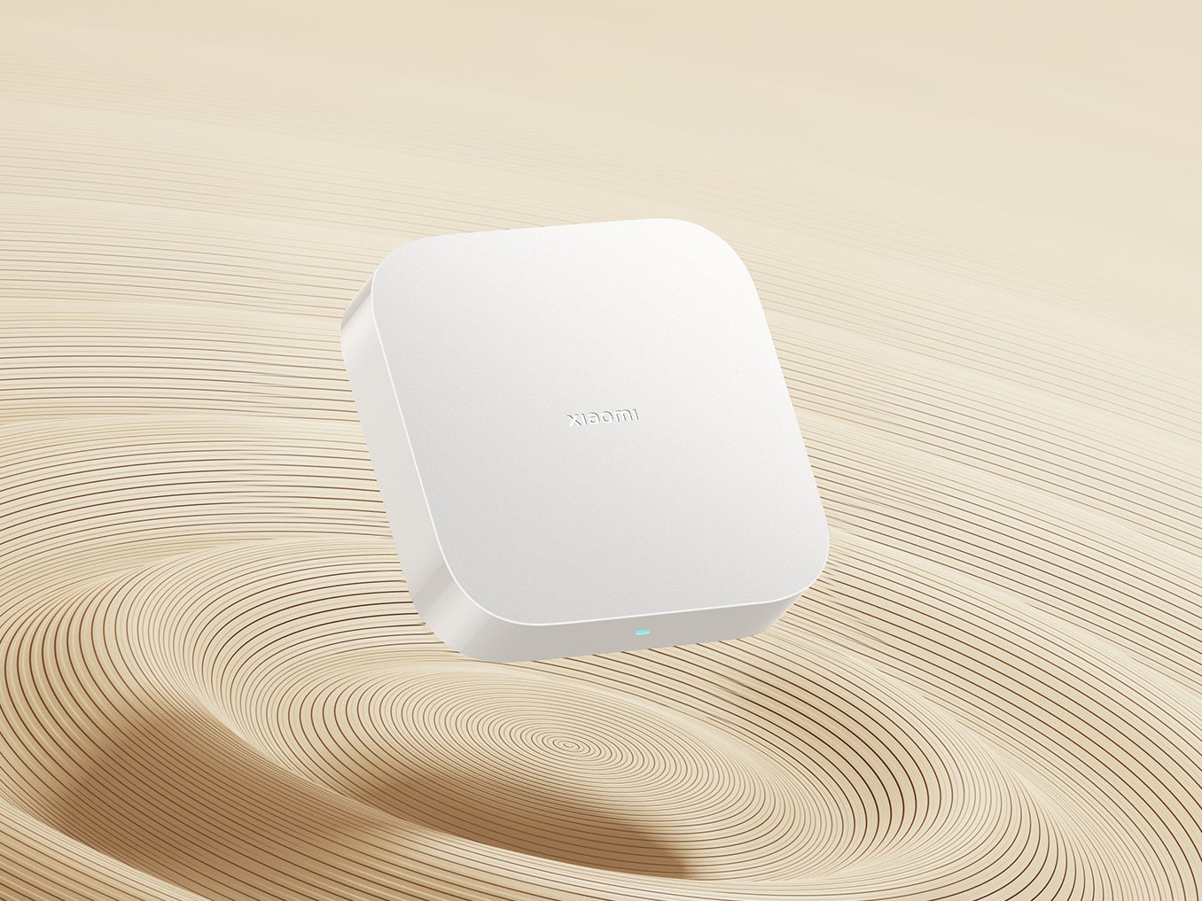 Xiaomi hub hot sale google home