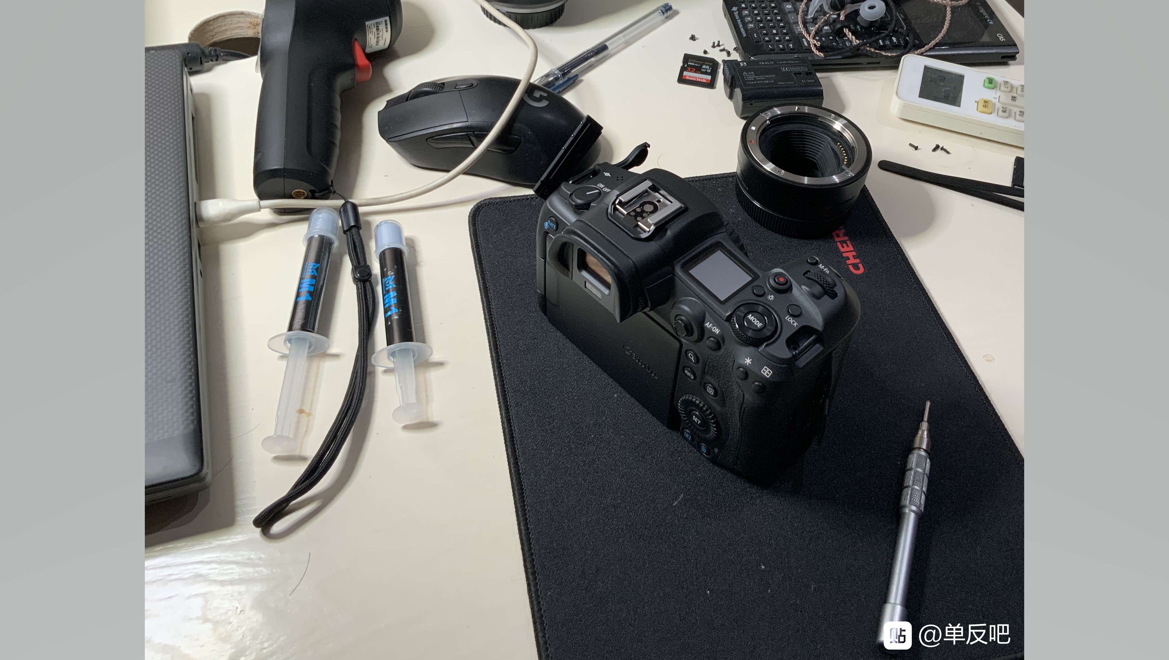canon r5 usd