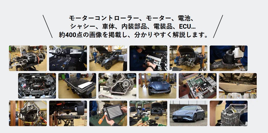 user posted image user posted image
