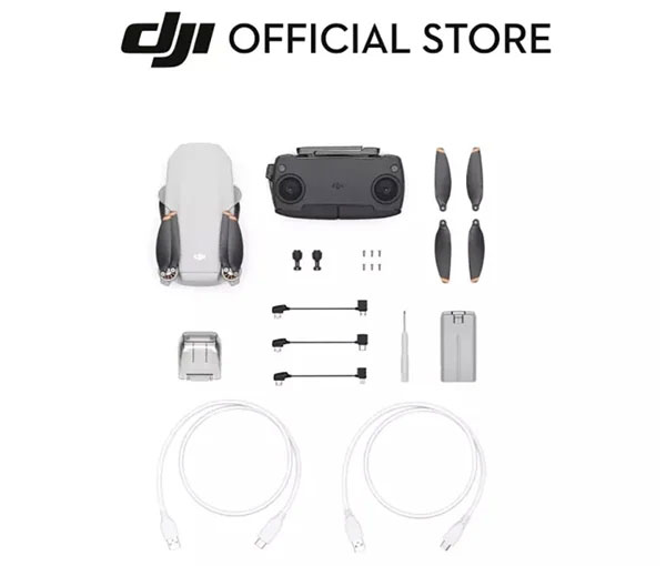 DJI Mini SE: A cheap entry-level drone that will not be sold globally