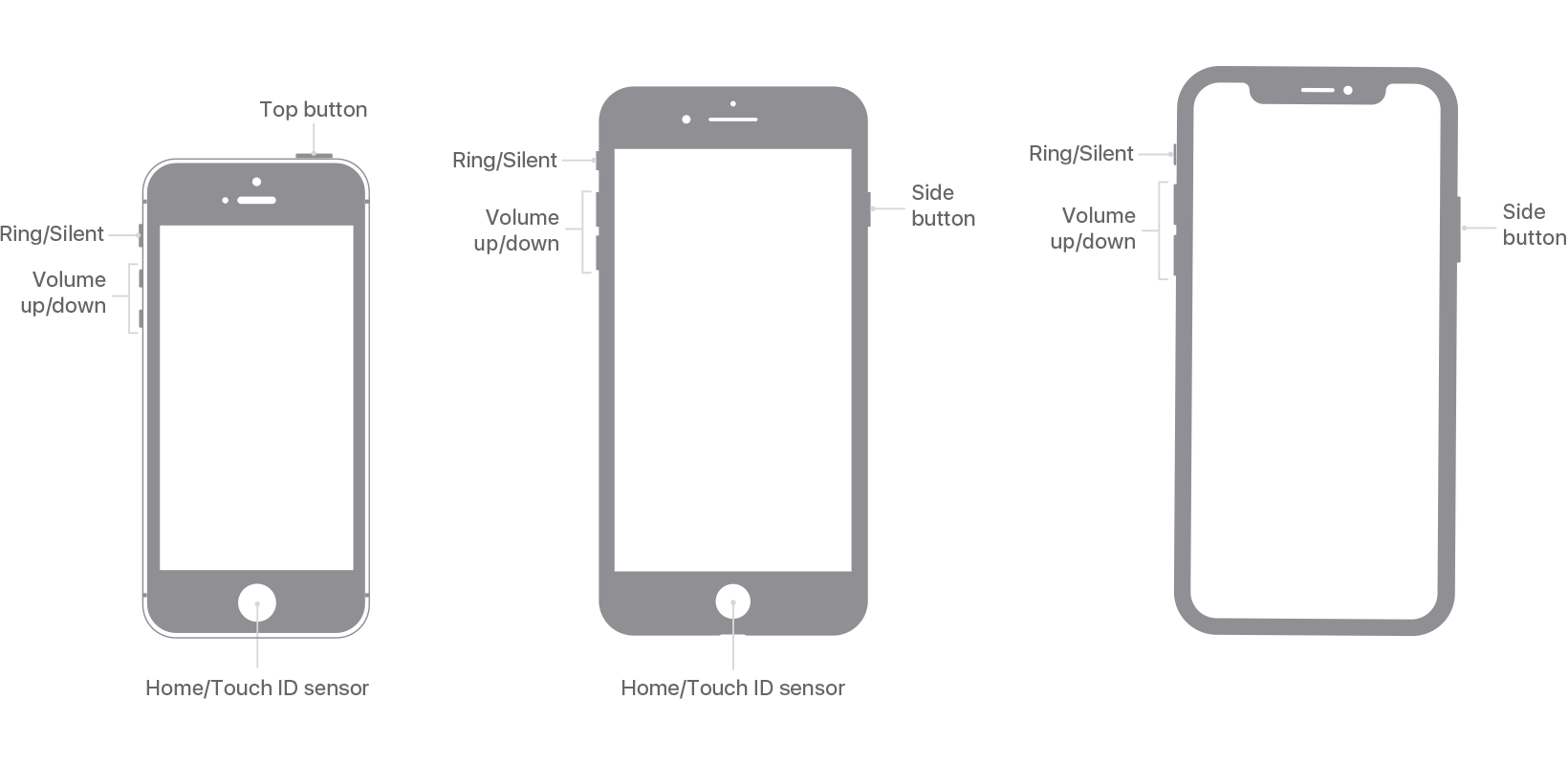 https://www.notebookcheck.net/fileadmin/Notebooks/News/_nc3/iphone_se_iphone7_iphone_11pro_buttons_switches_tech_spec.png