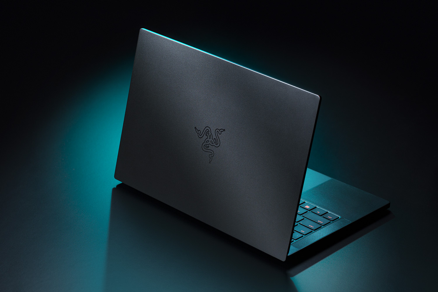 The 2019 Razer Blade Stealth series was a huge mess. The 2020 