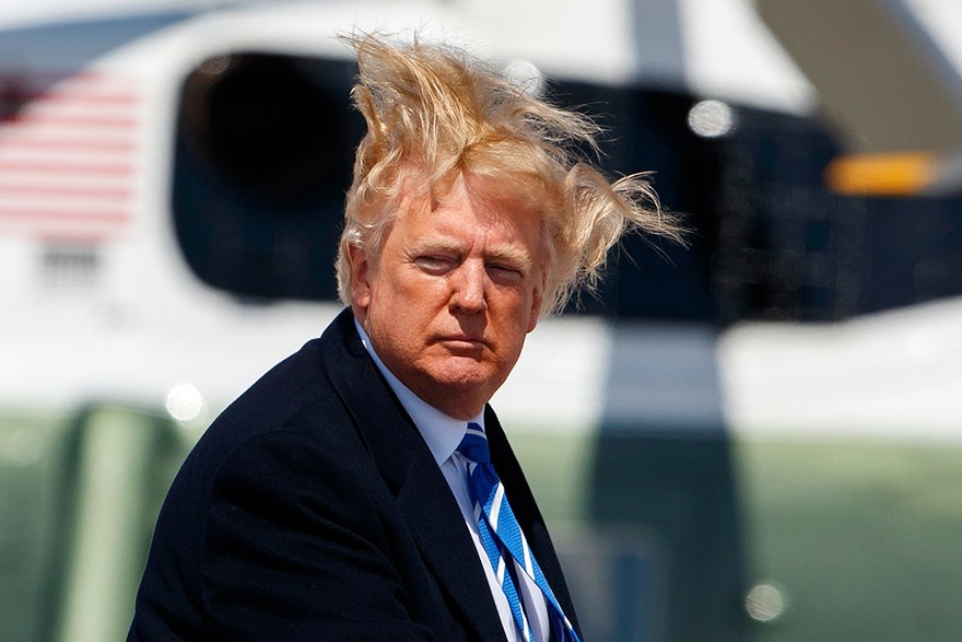 [Image: trump_hair.jpg]