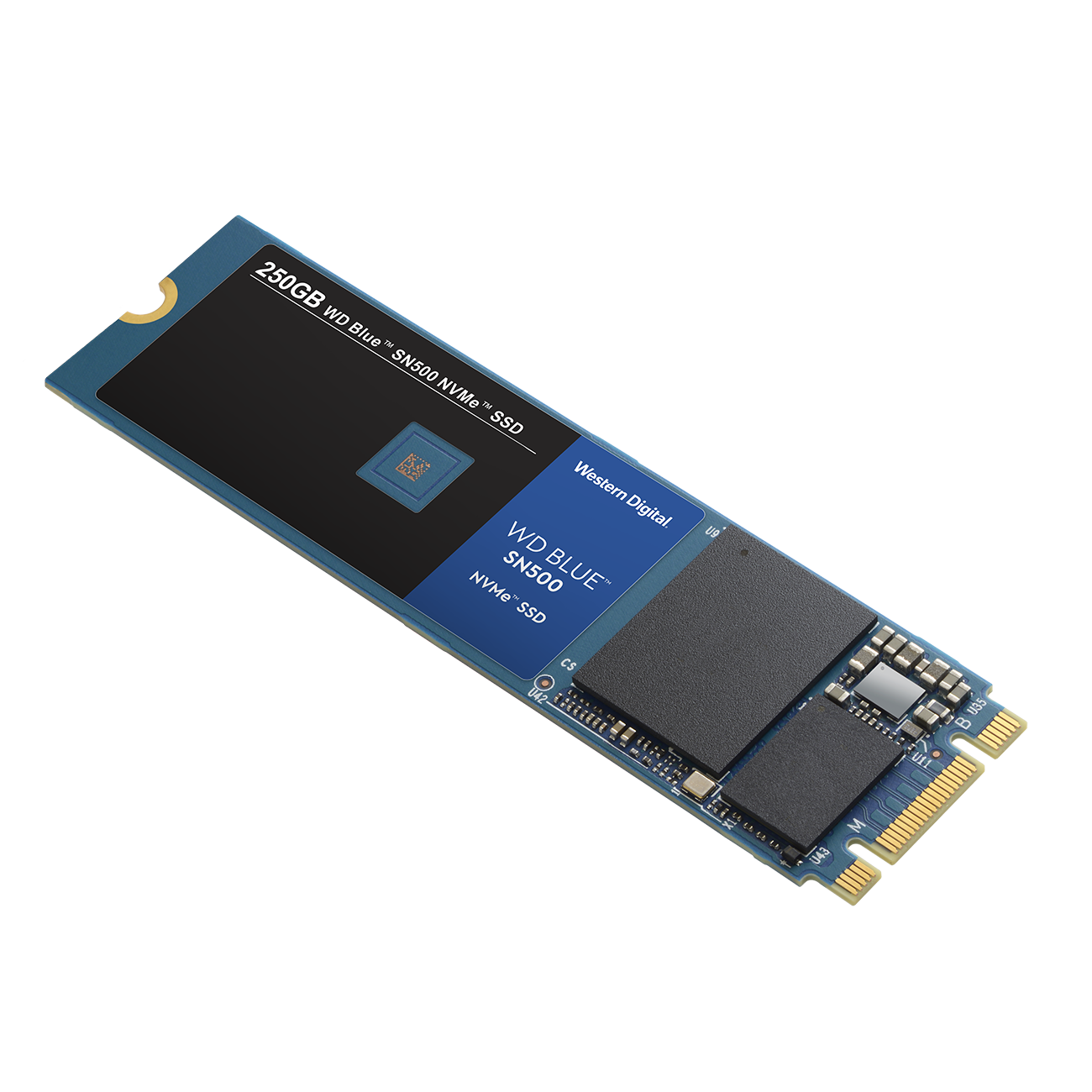 Western Digital announces WD Black SN850X NVMe SSD and more gamer-centric  storage devices