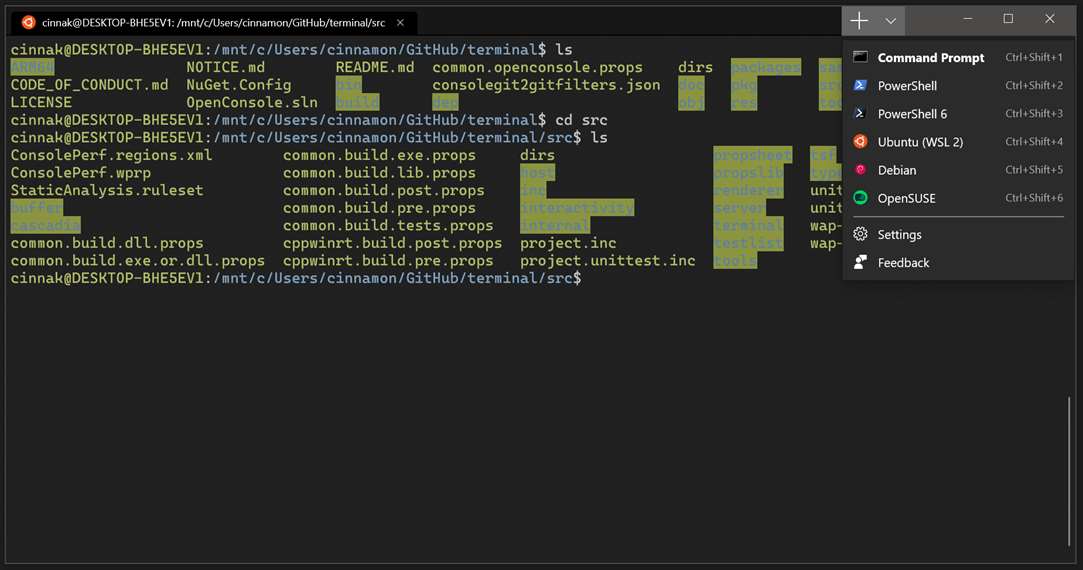 using terminal on windows