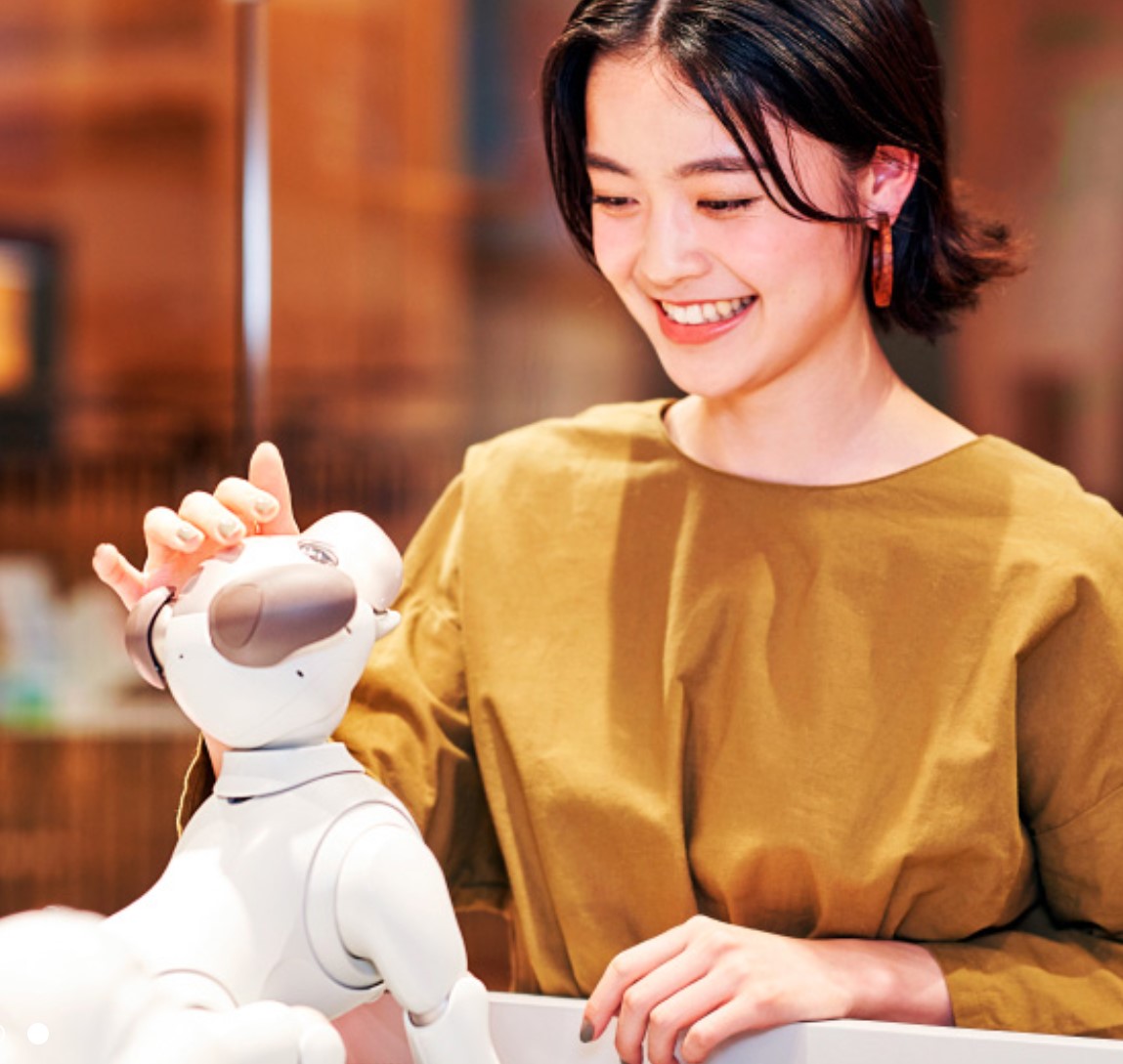 Sony releases Aibo Kinako Edition robotic dog in two-tone Sony releases Aibo Kinako Edition robotic dog in two-tone