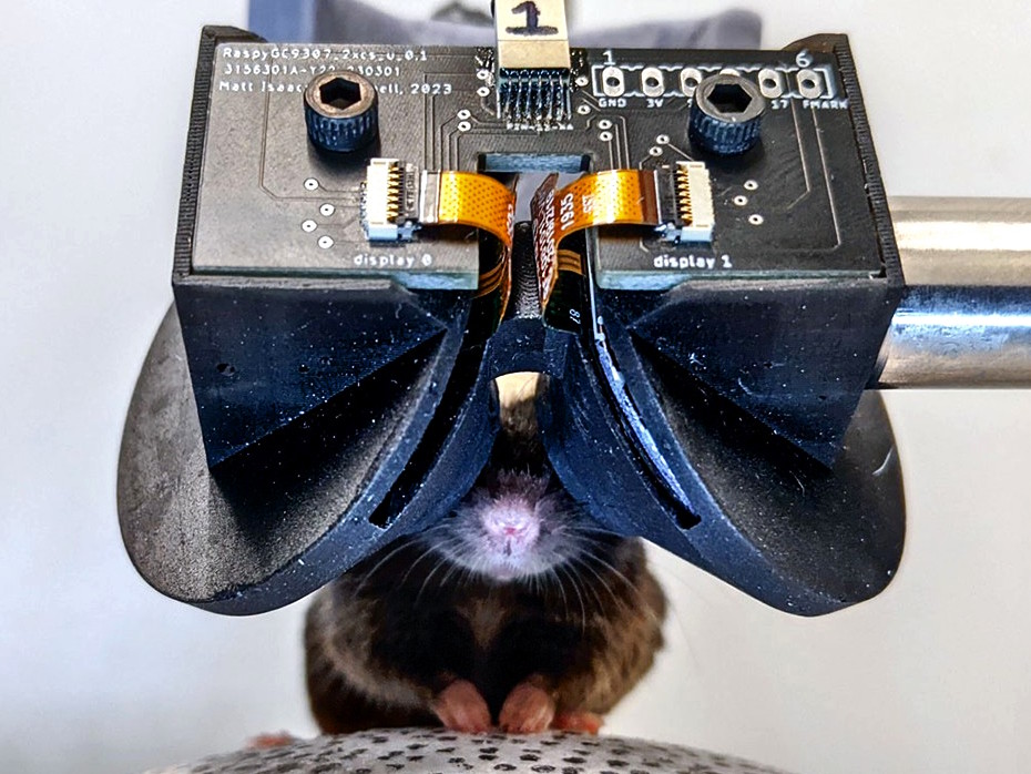 Cornell researchers develop MouseGoggles Duo 3D VR headset for mice using Raspberry Pi 4 - NotebookCheck.net News