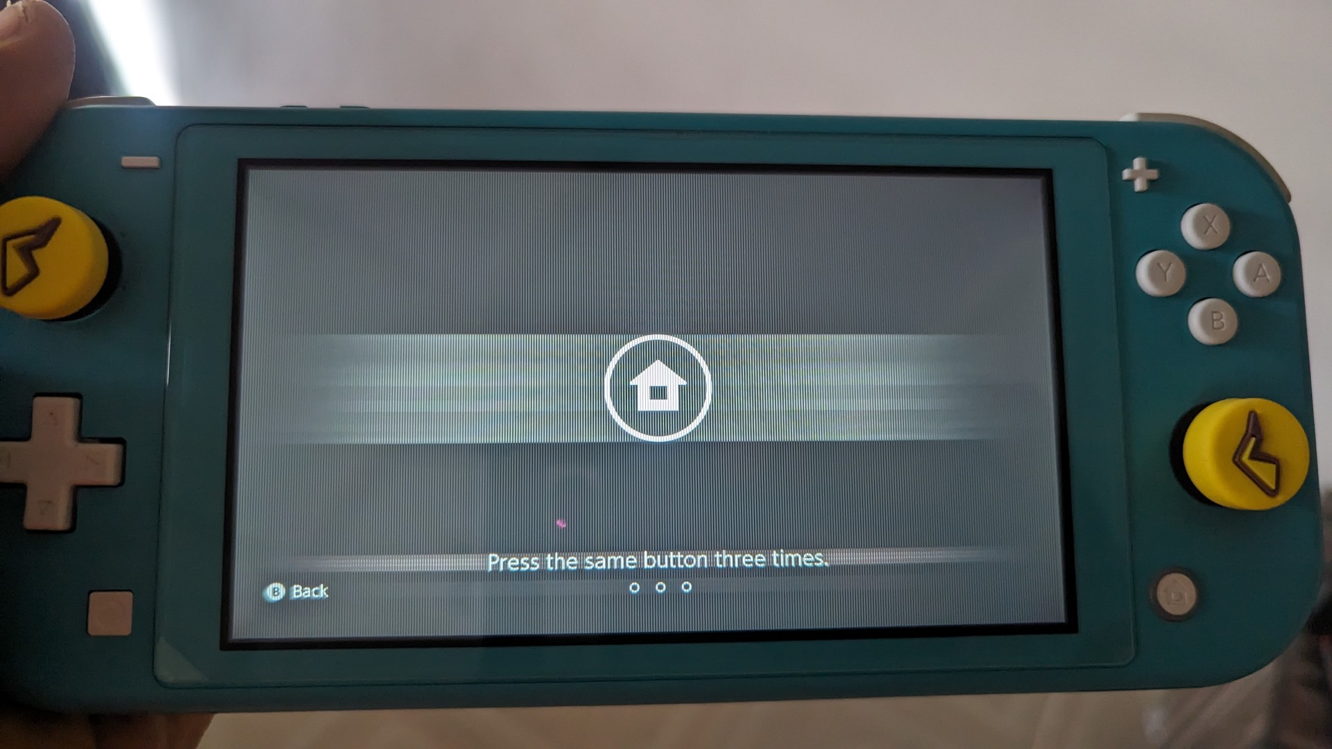 Nintendo Nintendo Switch Lite in Blue | NFM