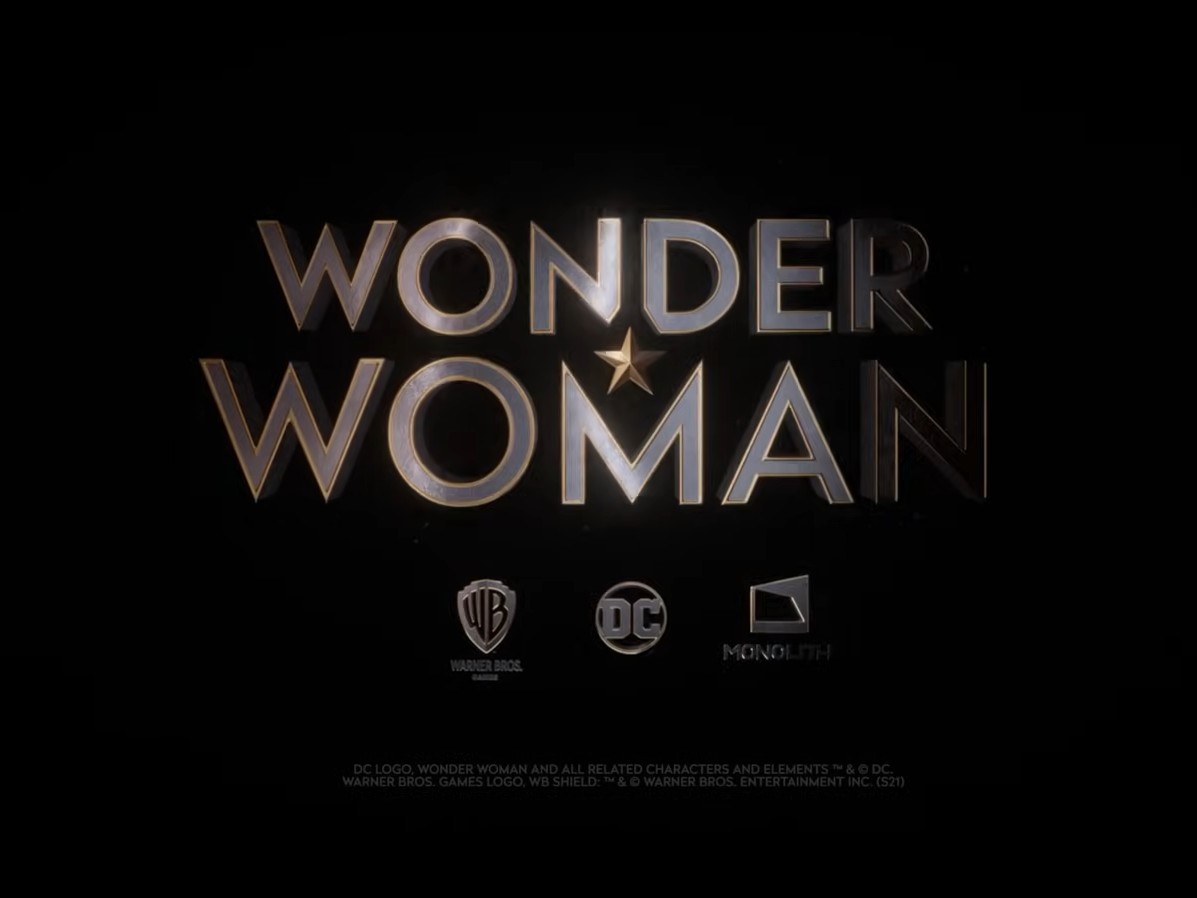 Maglietta Uomo Warner Bros Wonder Woman Stance - Cotone 100%