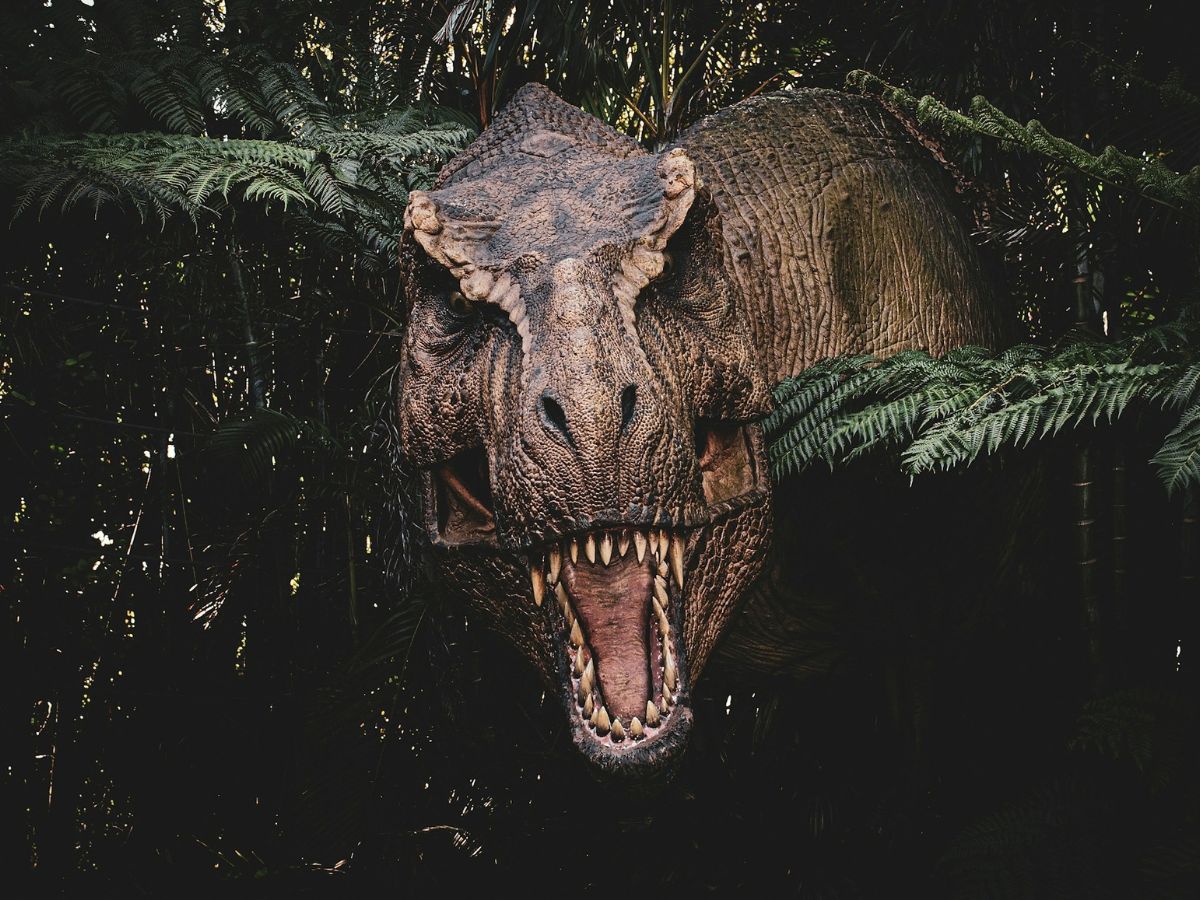 Scientists confirm the T. rex was a warm-blooded reptile by measuring its body temperature