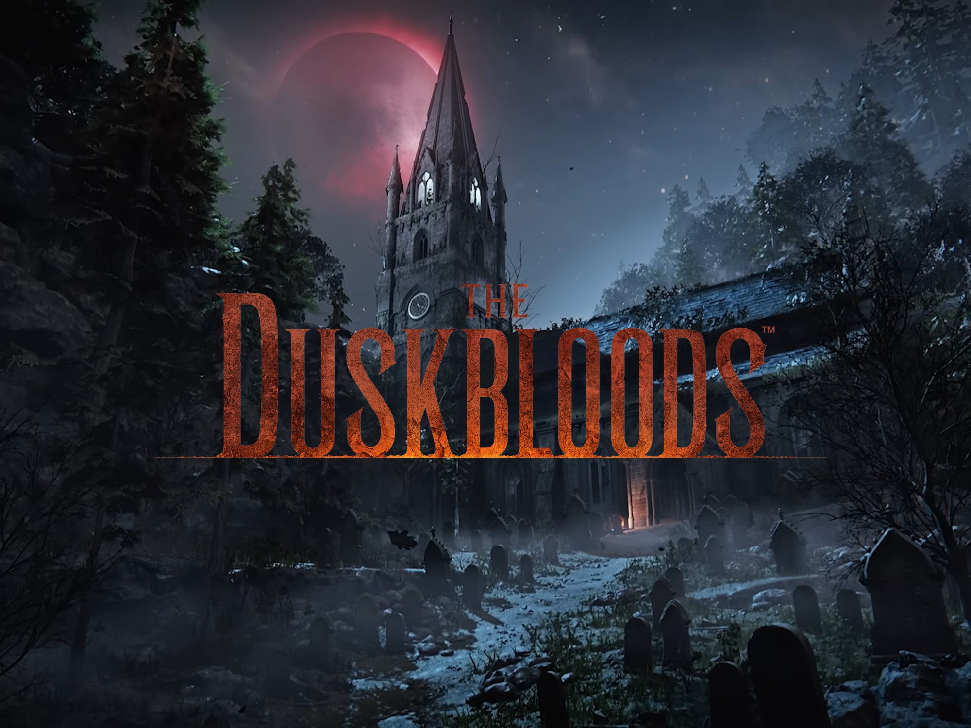 The Duskbloods network test performance struggles with input lag affecting Switch 2