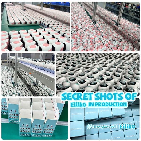 Eiliko, Energize Lab’s next-gen charm bot has officially entered mass production (Image source - energizelab.com)