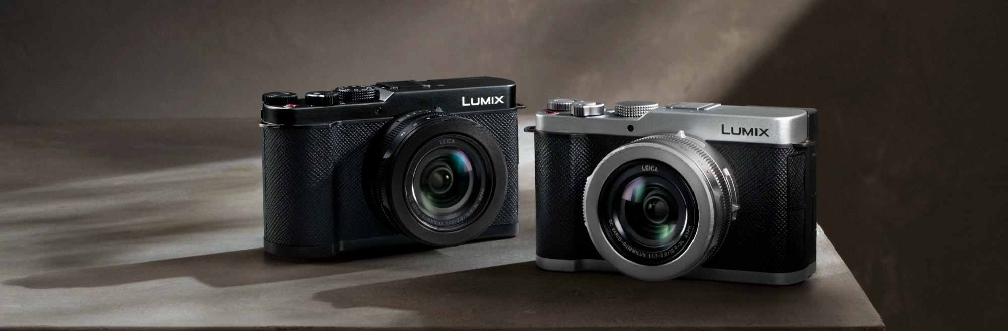 Panasonic Lumix L10 takes on Leica D-Lux 8 with large sensor and