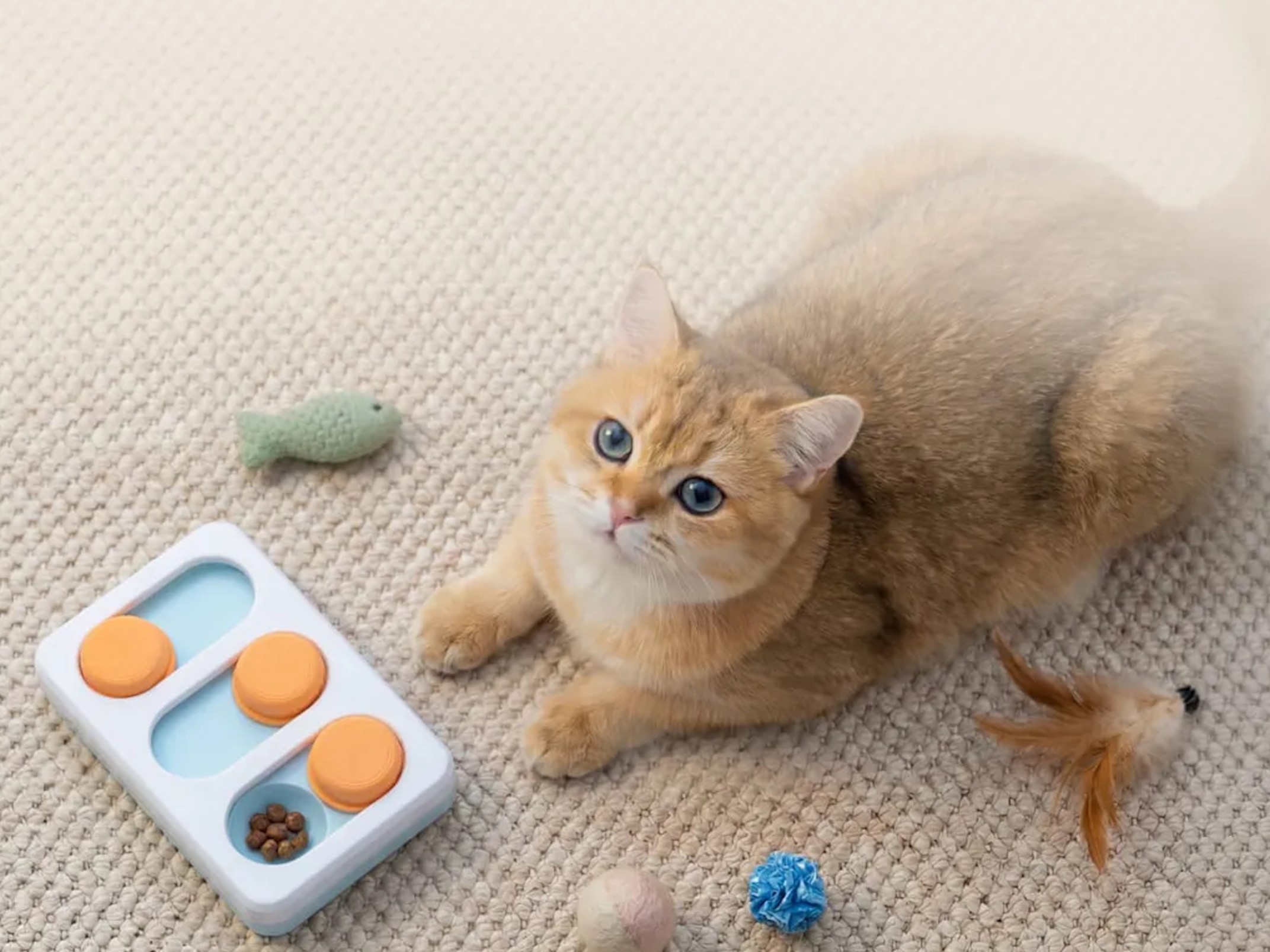 Bambu Lab PLA Pure launches as certified filament for toys and food-safe use cases