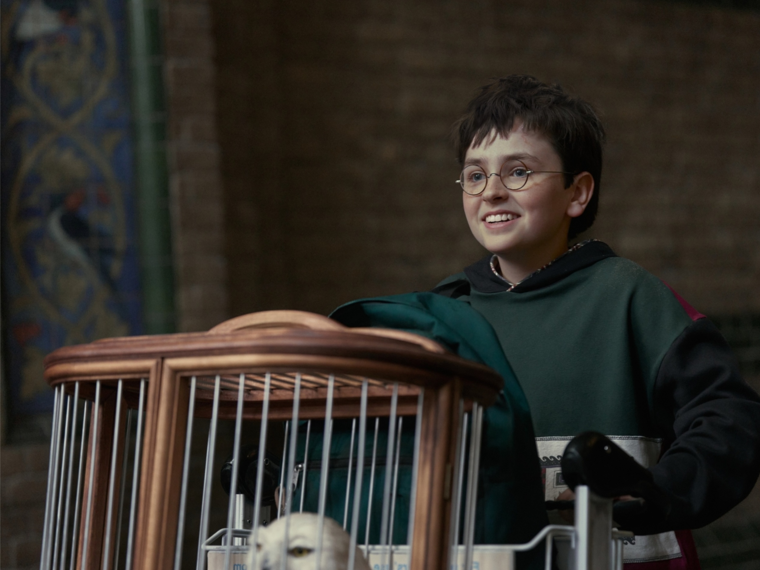These scenes are a must for HBO’s Harry Potter series, according to fans