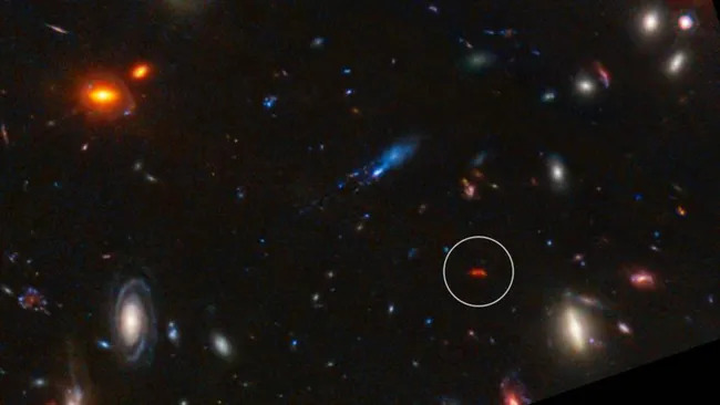 The galaxy Y1 is circled in this image. (Image source: NASA, ESA, CSA, STScI, J. Diego (Instituto de Física de Cantabria, Spain), J. D’Silva (U. Western Australia), A. Koekemoer (STScI), J. Summers & R. Windhorst (ASU), and H. Yan (U. Missouri))