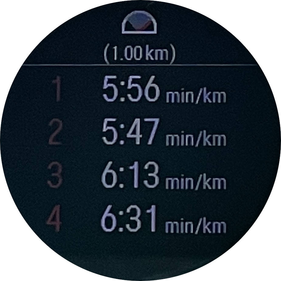 polar vantage v specs