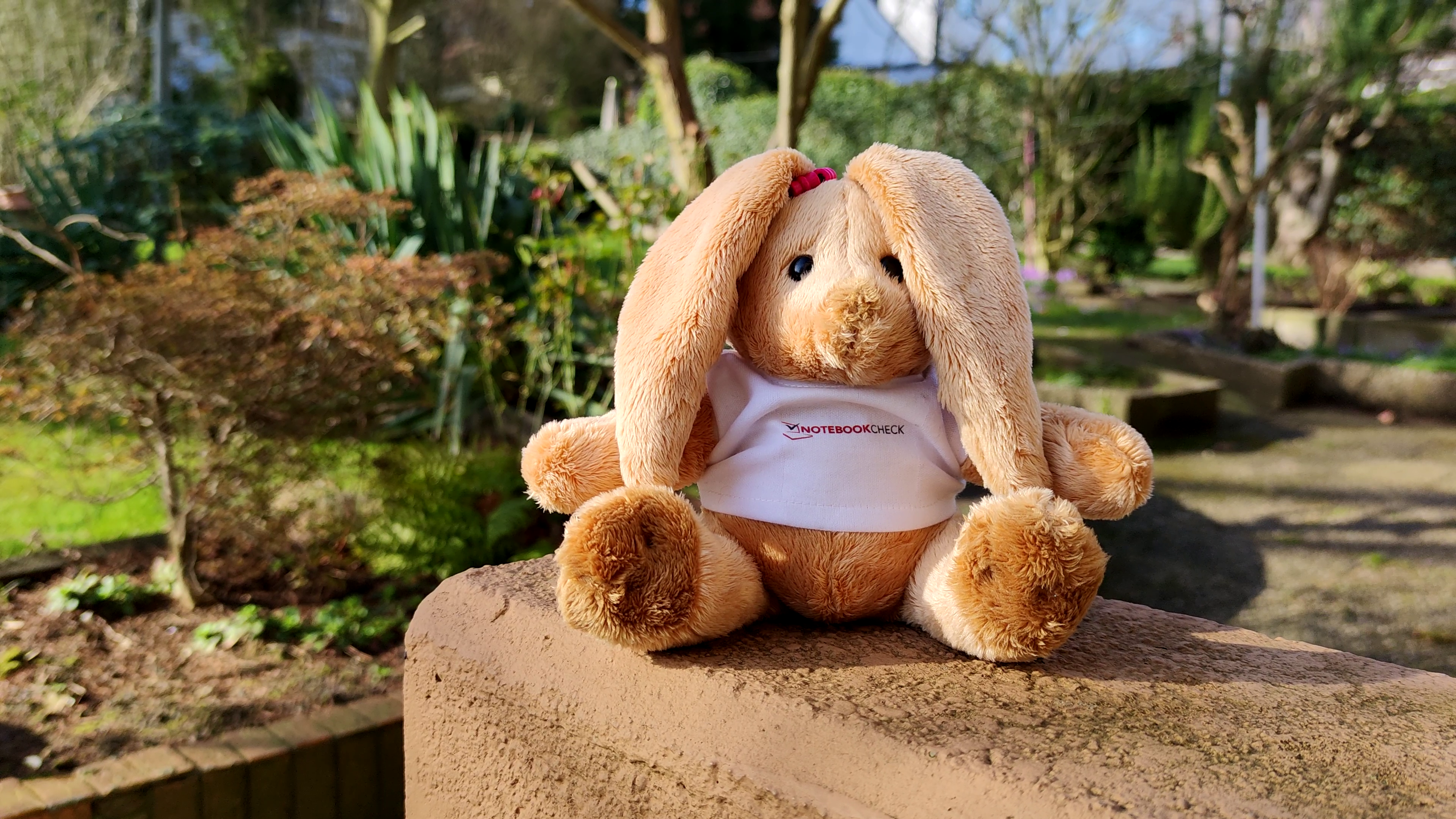 The Best Video Smartphones In The Test All Against The Iphone