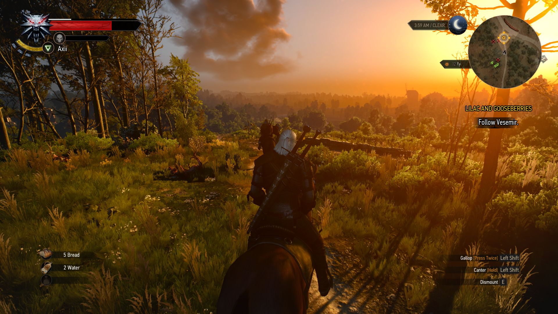 The witcher 3 nvidia hairworks amd фото 66
