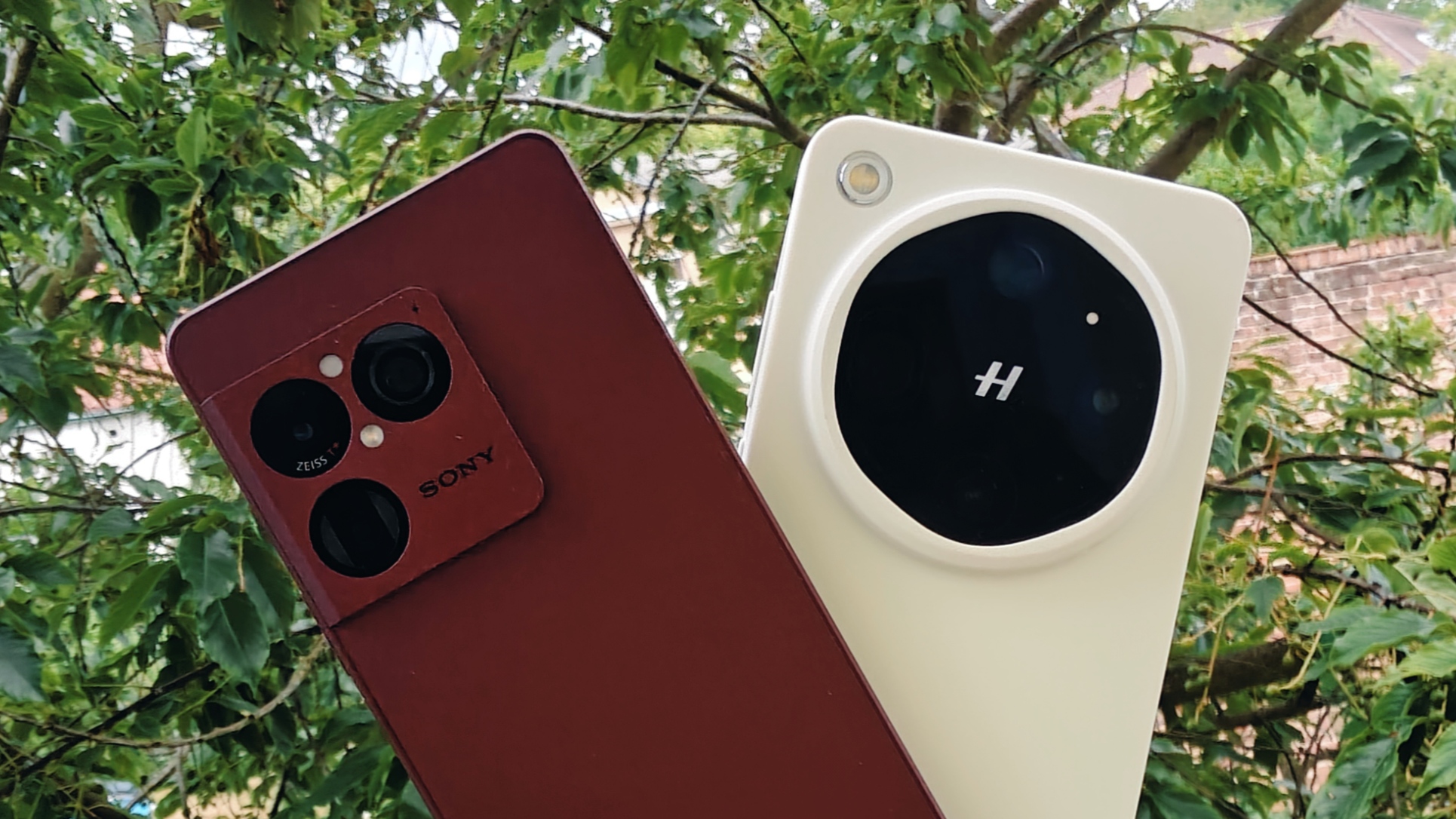 One of Sony smartphone’s cameras is not competitive: Xperia 1 VIII vs. Oppo Find X9 Ultra review