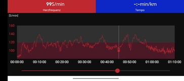 Heart rate measurement with the Polar H10 chest strap