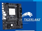 The Maxsun HM570 features a Tiger Lake Core i7-11800H soldered on (Image source: @momomo_us)