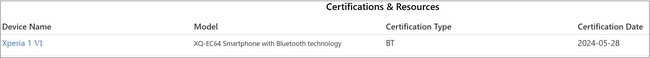 Record for the US version of the Xperia 1 VI. (Image source: device.report)