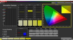 CalMAN saturation calibrated (target color space sRGB)