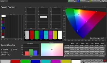 CalMAN sRGB color space