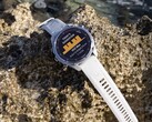 System software 22.07 has arrived for the Descent Mk3 and Mk3i (pictured) dive computers. (Image source: Garmin)