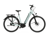 The Velo de Ville 2024 AEB 990 e-bike can be customized in many ways. (Image source: Velo de Ville)
