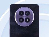 A potential Realme 13 mug-shot. (Image source: TENAA)