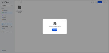 File sizes now visible – but only for individual files