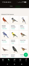 Bird visit breakdown