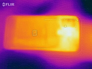 Heat map - back