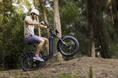 The Kingbull Jumper Go fat-tire e-bike sports a powerful 750 W Bafang brushless hub motor (Image source: Kingbull)