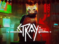 Stray, a brand new title, will be included in the July update for PlayStation Plus. (Image source: PlayStation)