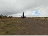 The fifth-generation Black Bird