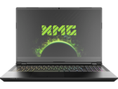 Schenker XMG Pro 15 (Clevo PC50DS) with RTX 3080 in Review: Ultra-Thin and Lightweight High-End All-Rounder