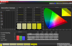 CalMAN Saturation calibrated