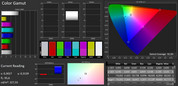 CalMAN: Color space - standard